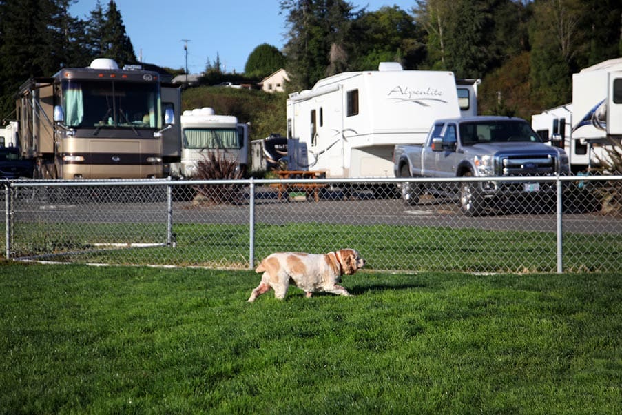 Pet-Friendly RV Campgrounds With Fenced Areas