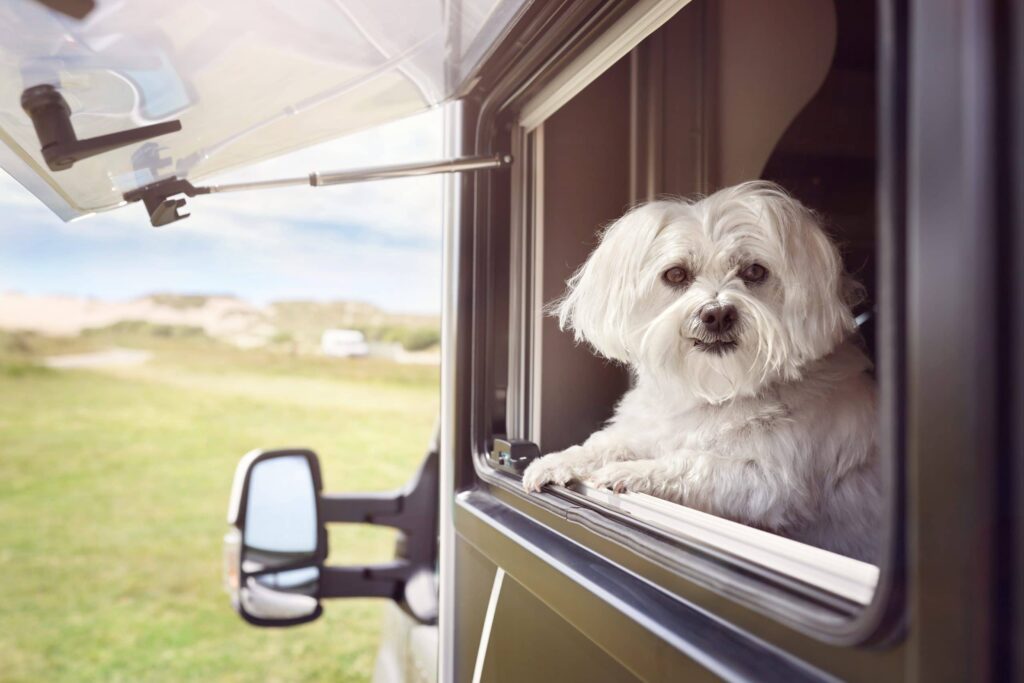 Pet-Friendly RV Rentals made simple.